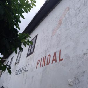 corbatas unquera pindal