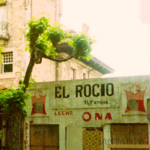 El_rocio