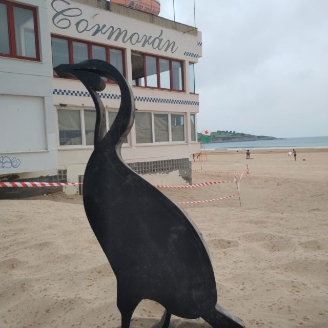 01_cormoran_santatipo